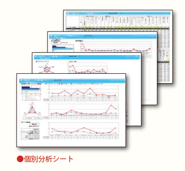 個別分析シートイメージ